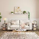 BF112BZP201 (3).webp